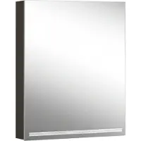 Schneider GRACE TW Lichtspiegelschrank, eine Tür Anschlag rechts, 595x120x700mm, dimmbar, 2000-6500K, 116.462.02.44, Ausführung: EU-Norm/Korpus schwarz matt