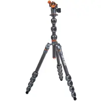 3 Legged Thing Pro 2.0 Albert Carbon grau