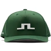 J.Lindeberg Heath Cap forest biome (M334) 56