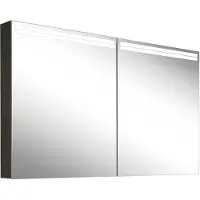 Schneider ARANGA TW Lichtspiegelschrank, 2 Türen, 1295x120x700mm, Lichtbänder oben, 160.530.02.44, Ausführung: EU-Norm/Korpus schwarz matt
