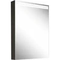 Schneider ARANGA TW Lichtspiegelschrank, eine Tür mit Anschlag rechts, 495x120x700mm, Lichtbänder oben, 160.452.02.44, Ausführung: EU-Norm/Korpus schwarz matt