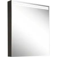 Schneider ARANGA TW Lichtspiegelschrank, eine Tür mit Anschlag links, 595x120x700mm, Lichtbänder oben, 160.461.02.44