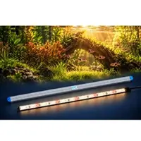 LEDaquaristik GmbH eco+ LED-Leiste SUNRISE 2800K