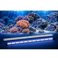 LEDaquaristik GmbH eco+ LED-Leiste MARINE 13000K