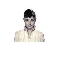 Hahnemuhle Photo Rag Pearl 320g/m2 Rolle 36" x 12m