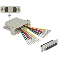 DeLOCK D-Sub HD 44 Pin Crimp Buchse zu 2 x RJ45 Buchse mit Montagesatz beige, D-Sub 44pin, 2x RJ-45, Beige