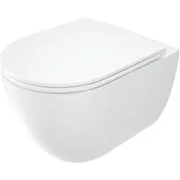 Deante Wand WC Weiß D-Form Tiefspüler spülrandlos mit Softclose Sitz