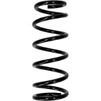 CS Germany Fahrwerksfeder 30110300 Hinterachse für NISSAN