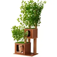 StarTech.com Katzen-Kletterbaum - Baumförmiger Kratzbaum - 175 cm Hoch - 4 Ebenen - 2 Katzenhöhlen - 2 Liegeplattformen - Sisalumwickelte Kratzsäulen - Braun-Grün