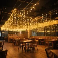 LILIIN 15 m Solar Eisregen Weihnachtsbeleuchtung warmweiß mit 600 LEDs, Timer & Speicherfunktion, 8 Lichtmodi