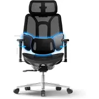 Merkloos Ergonomischer Bürostuhl mit 3-Zonen-Lendenwirbelstütze, 3D-Kopfstütze und 3D-Armlehnen, schwarz