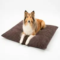 4L Textil MOLLY Hundekissen aus Cord, wendbares Hundebett, abnehmbarer waschbarer Bezug, für kleine und mittelgroße Hunde, 80x60 cm, Dunkelbraun