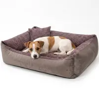 4L Textil TEO Kuscheliges Hundebett mit Rand, abnehmbarer waschbarer Bezug, für mittelgroße Hunde, 100x80 cm, Braun