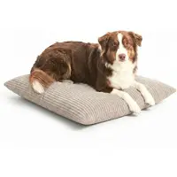 4L Textil MOLLY Hundekissen aus Cord, wendbares Hundebett, abnehmbarer waschbarer Bezug, für kleine Hunde und Katzen, 60x50 cm, Beige