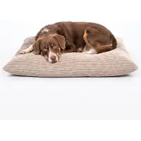 4L Textil MOLLY Hundekissen aus Cord, wendbares Hundebett, abnehmbarer waschbarer Bezug, für große Hunde, 120x100 cm, Beige