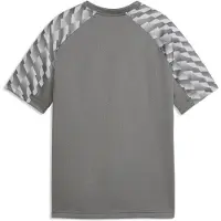 Puma teamLIGA26 Trikot Kids grau, 140 Kinder