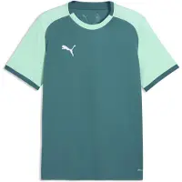 Puma Funktions-T-Shirt für Herren TEAMLIGA26 MATCHDAY JERSEY 706544_43 EMERALD ICE/ SMARAGDEIS/PUMAWEIß Größe: L