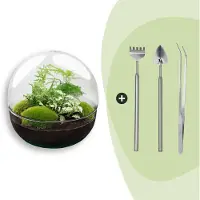 Urbanjngl Flaschengarten - Dome XL - Höhe 30 cm - Harke + Schaufel + Pinzette