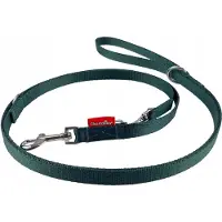 Champion Gurtband Verstellbare Hundeleine Grün 225cm