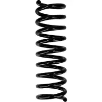 CS Germany Fahrwerksfeder 30110269 Hinterachse