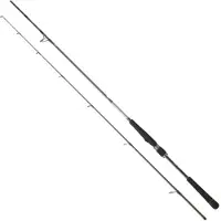 Daiwa Saltist Seabass Spinnrute