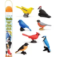 Safari Ltd Backyard Birds TOOB, 3 Jahr(e), Backyard Birds, Mehrfarbig