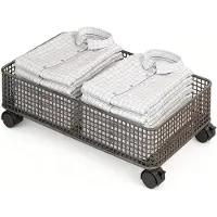 LTPRTZ Aufbewahrungsbox unter dem Bett - Schubladenbox mit Rollen - Ordnung schaffen - Transparentes Design - 47x28x15 cm - Schwarz