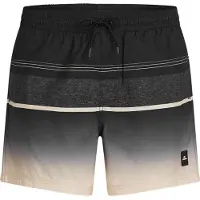 O'Neill Herren Badeshorts GRADIENT 15'' SWIMSHORTS