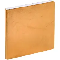 Sonstige Verlage EXECUTIF COLOR ML Susan gold 2027