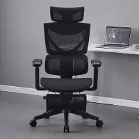 Rolipo Ergonomischer Bürostuhl mit Drei-Tasten-Verstellung. L3