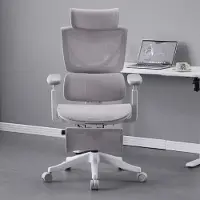 Rolipo Ergonomischer Bürostuhl mit Drei-Tasten-Verstellung. L3