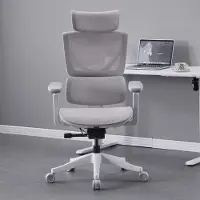 Rolipo Ergonomischer Bürostuhl mit Drei-Tasten-Verstellung. L3