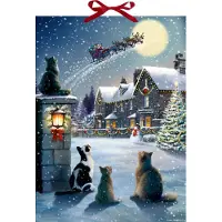 Sonstige Verlage Wand-Adventskalender - Katzen-Weihnacht