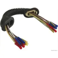 HERTH+BUSS ELPARTS ELPARTS Reparatursatz Kabelbaum Heckklappe Kabelbaum Heckklappe 51277020 Links für VW Golf V Schrägheck (1K1)