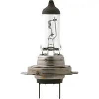 Philips LongLife EcoVision 12972LLECOS2 Längere Lebensdauer, 55 W, 12 V, H7, 3100 K, 2 Stück(e)